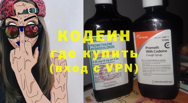 хмурый Арсеньев