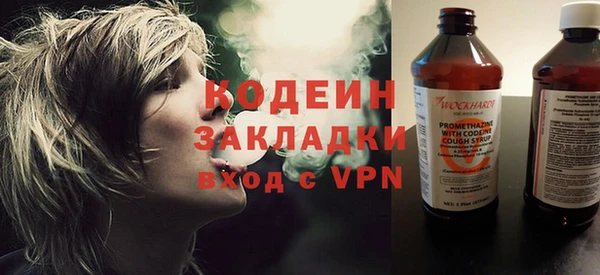 хмурый Арсеньев